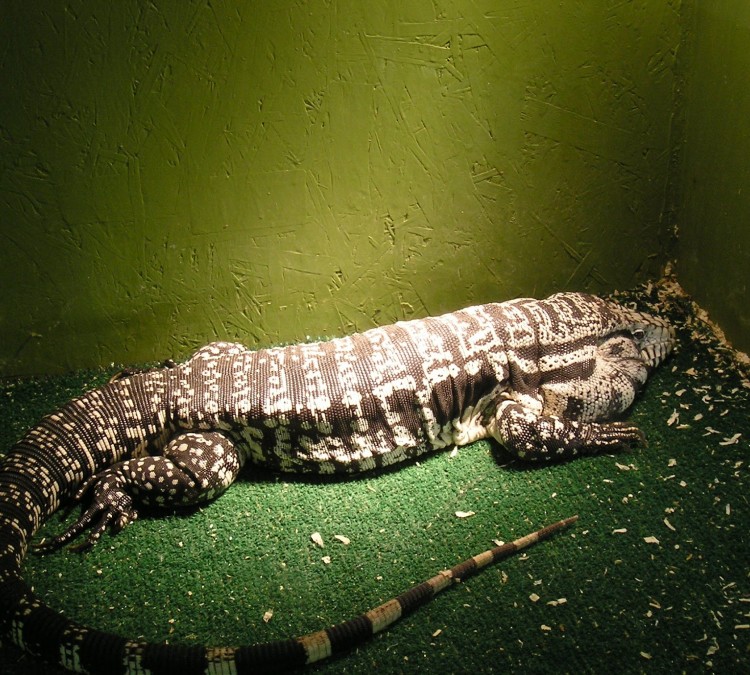 Reptile Zoo (Monroe,&nbspWA)